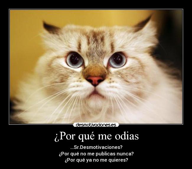 ¿Por qué me odias - ...Sr.Desmotivaciones?
¿Por qué no me publicas nunca?
¿Por qué ya no me quieres?