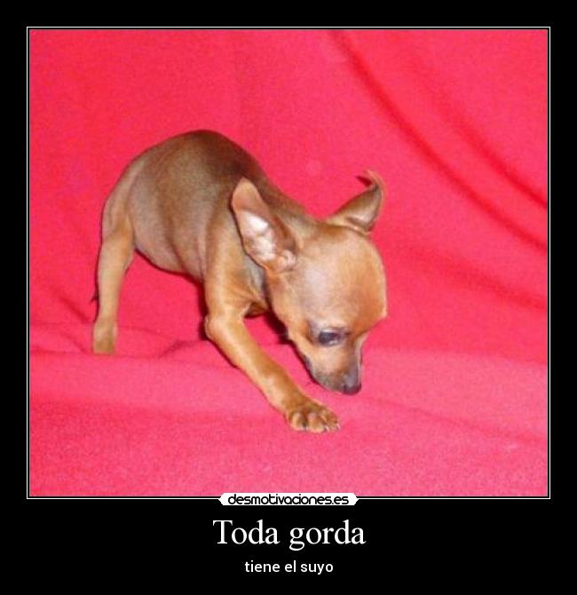 Toda gorda - tiene el suyo