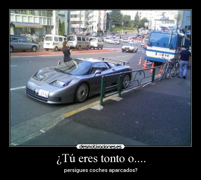 carteles tonto jaja desmotivaciones