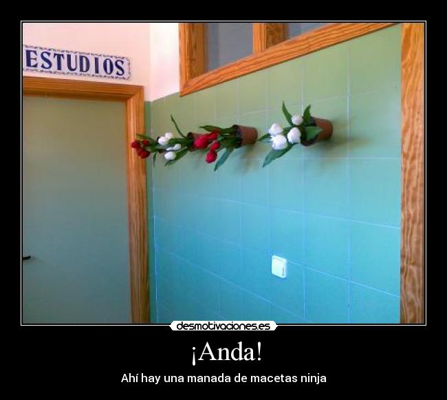 ¡Anda! - Ahí hay una manada de macetas ninja