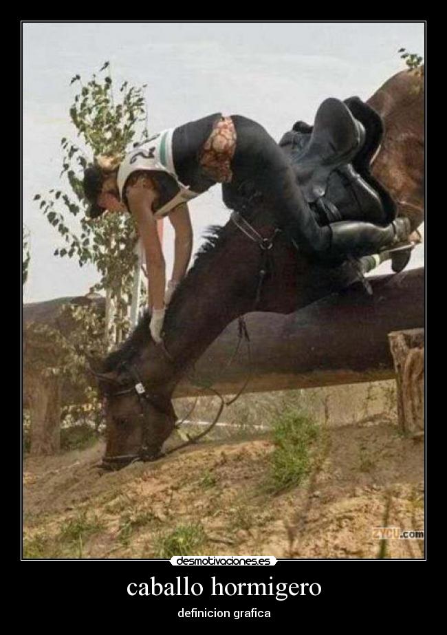 caballo hormigero -