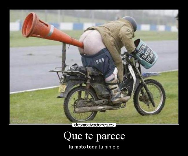 Que te parece -