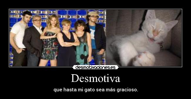 Desmotiva - que hasta mi gato sea más gracioso.