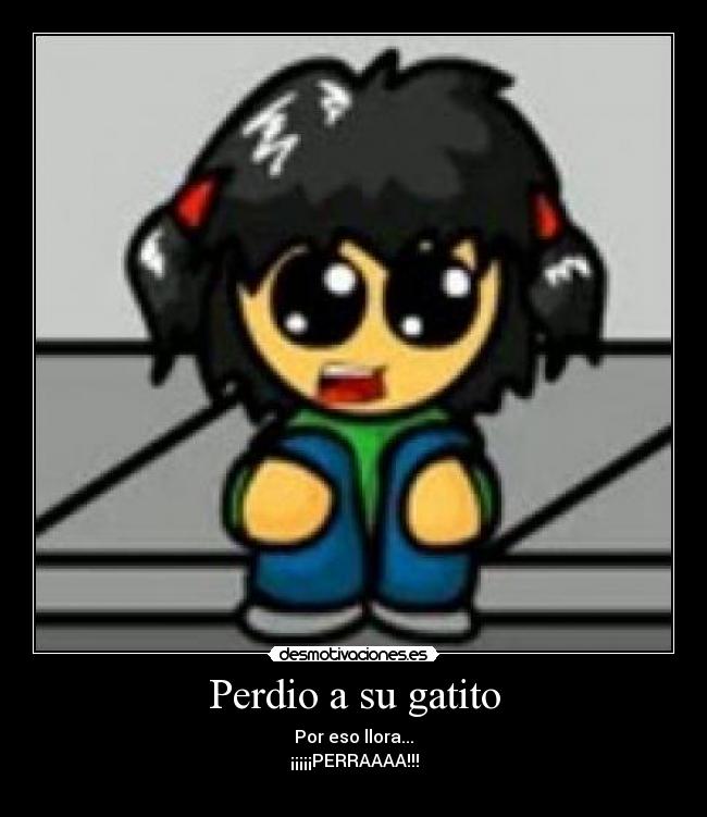 Perdio a su gatito - 