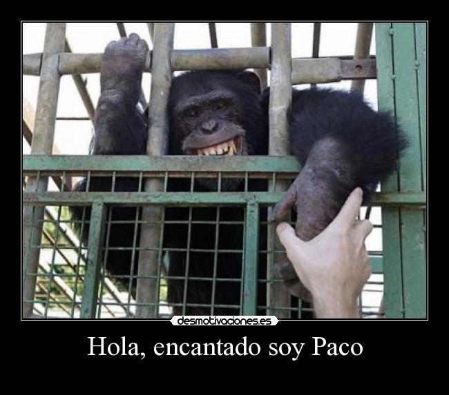 Hola, encantado soy Paco - 