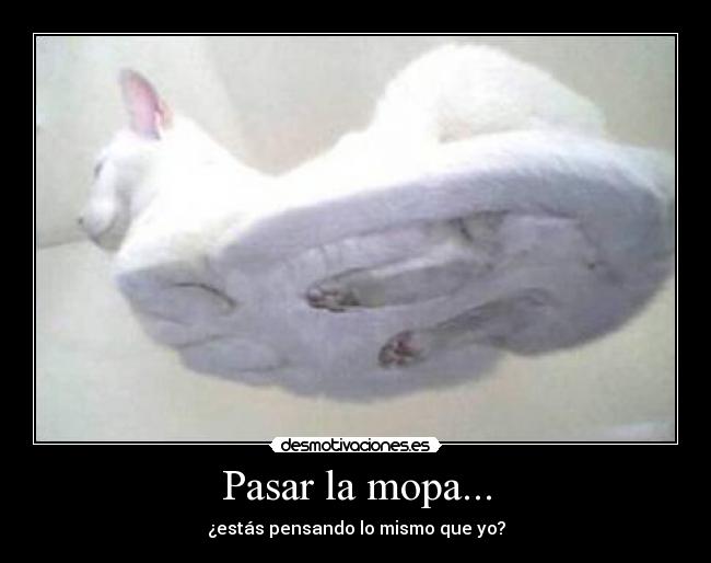 carteles asdf desmotivaciones