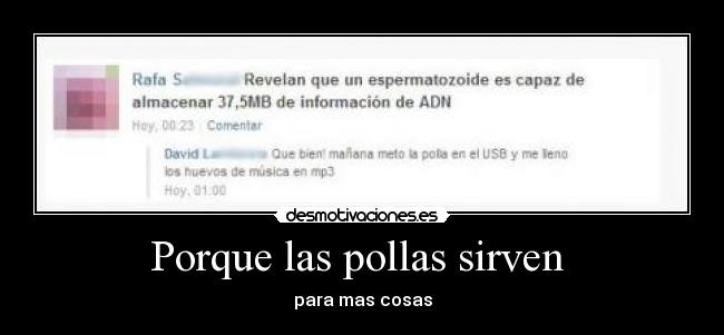 Porque las pollas sirven -