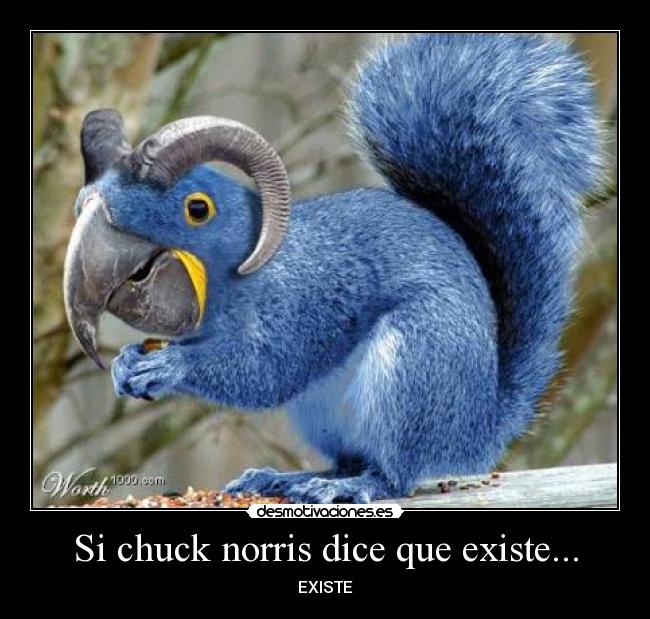 Si chuck norris dice que existe... - 