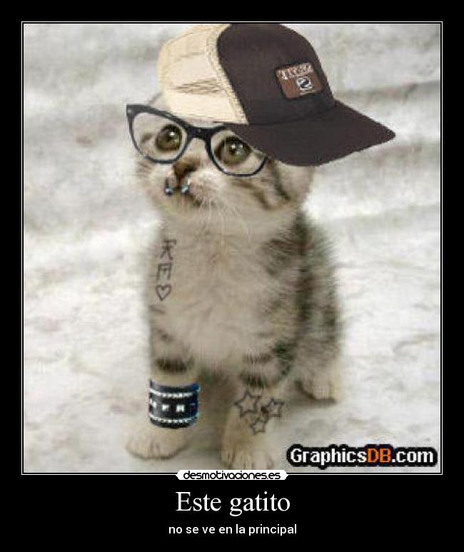 Este gatito - 