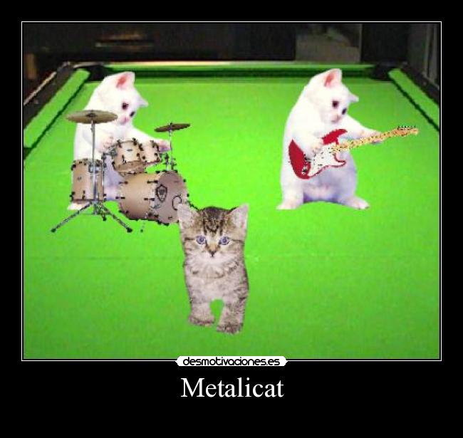 Metalicat -