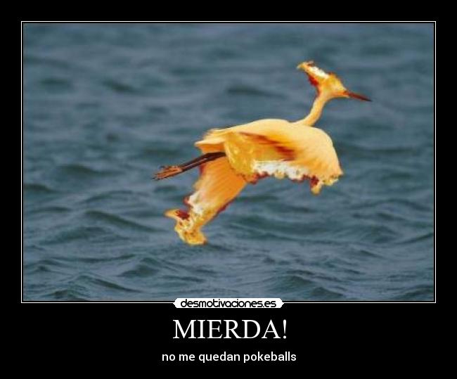 MIERDA! - 