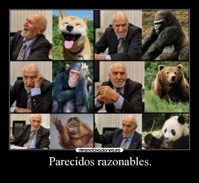 Parecidos razonables. -