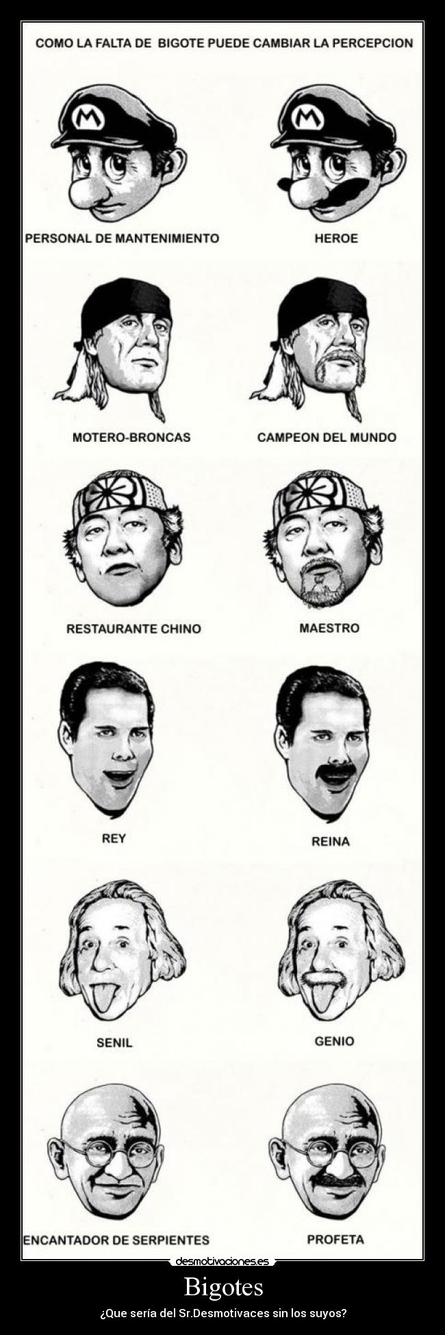 Bigotes - ¿Que sería del Sr.Desmotivaces sin los suyos?