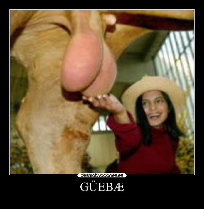 carteles webo weba cojon pene caras fail desmotivaciones