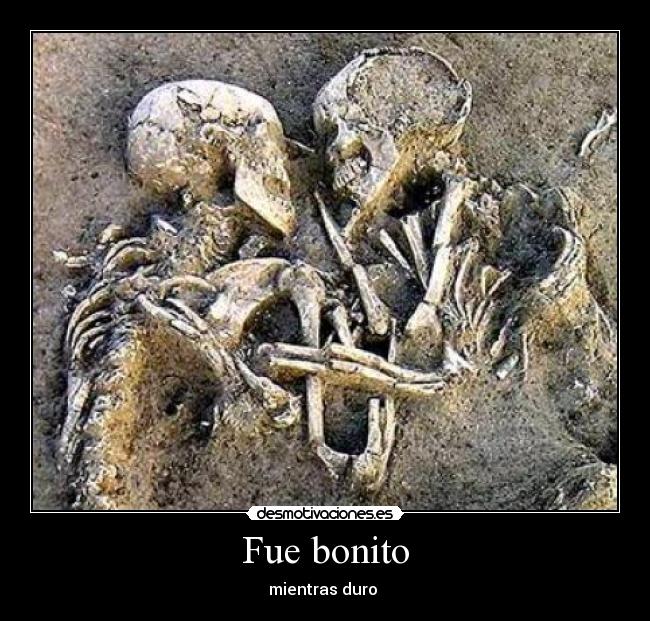 Fue bonito - 