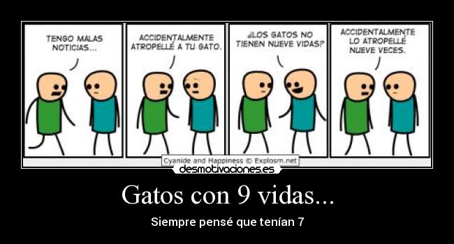 Gatos con 9 vidas... - Siempre pensé que tenían 7