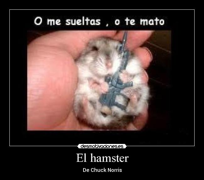 carteles fuuuuuuuuuuuuuuuuuuuuuuuuuuuu desmotivaciones