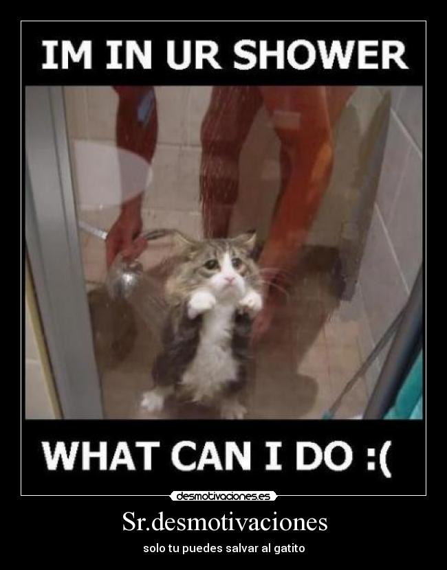 Sr.desmotivaciones - 