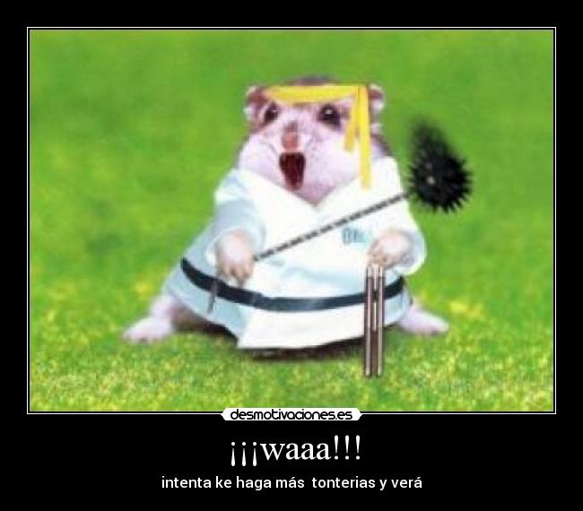 ¡¡¡waaa!!! -