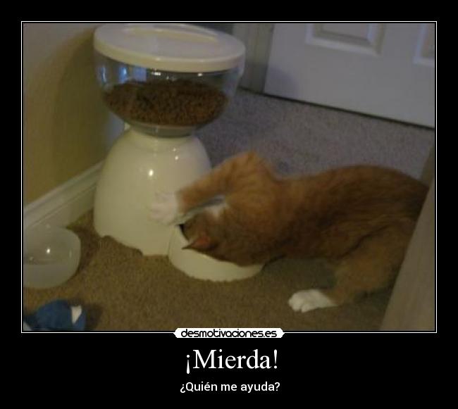 ¡Mierda! - ¿Quién me ayuda?
