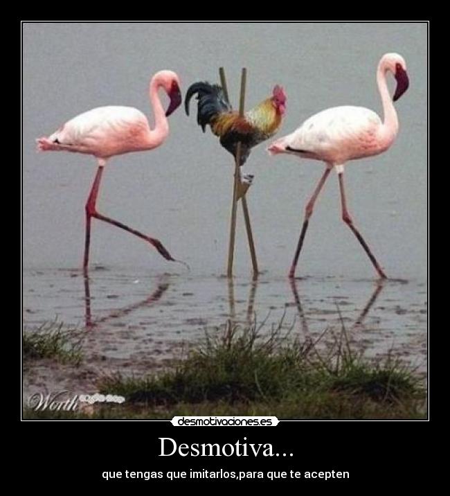 Desmotiva... -