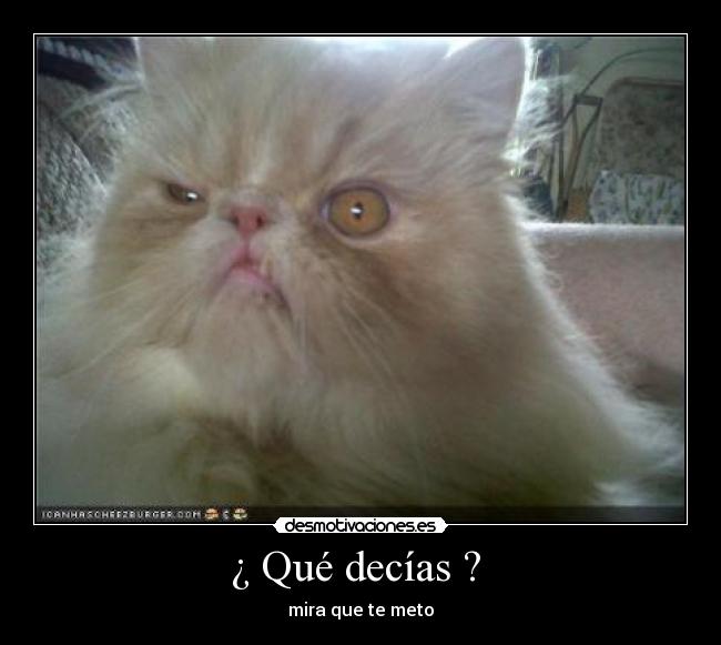 ¿ Qué decías ? -