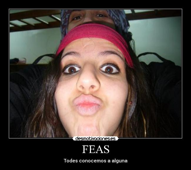 FEAS - 