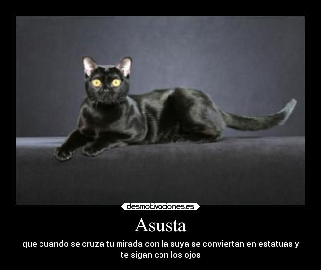 Asusta -