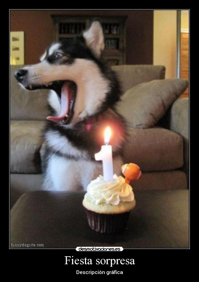 Fiesta sorpresa - Descripción gráfica