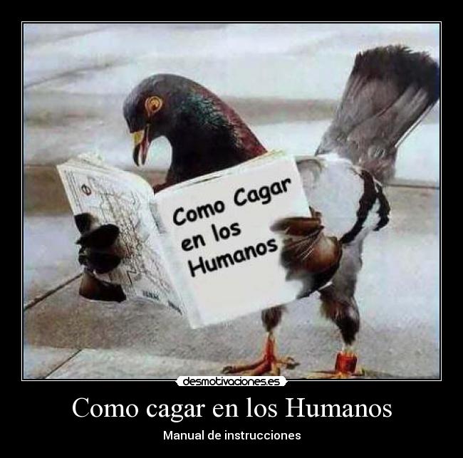 carteles manual del palomo como cagar los humanos desmotivaciones