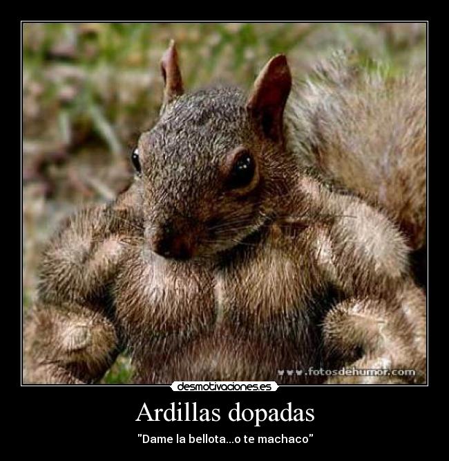 carteles animales desmotivaciones