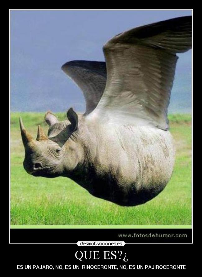 QUE ES?¿ - 