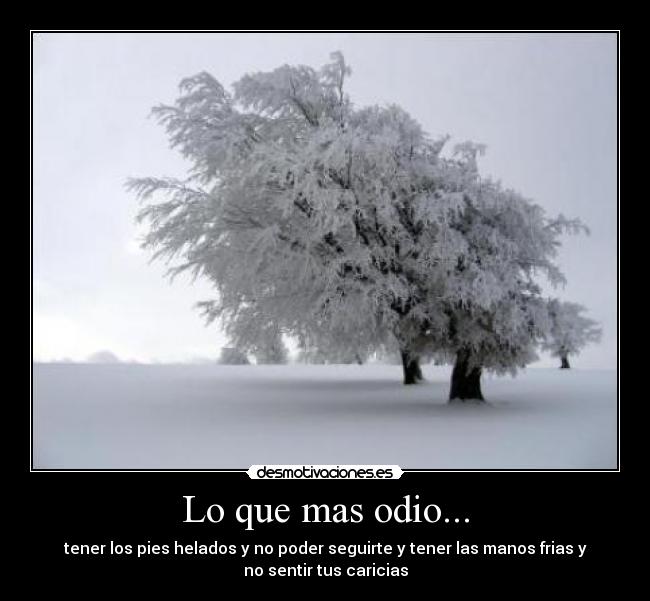 Lo que mas odio... - tener los pies helados y no poder seguirte y tener las manos frias y
no sentir tus caricias
