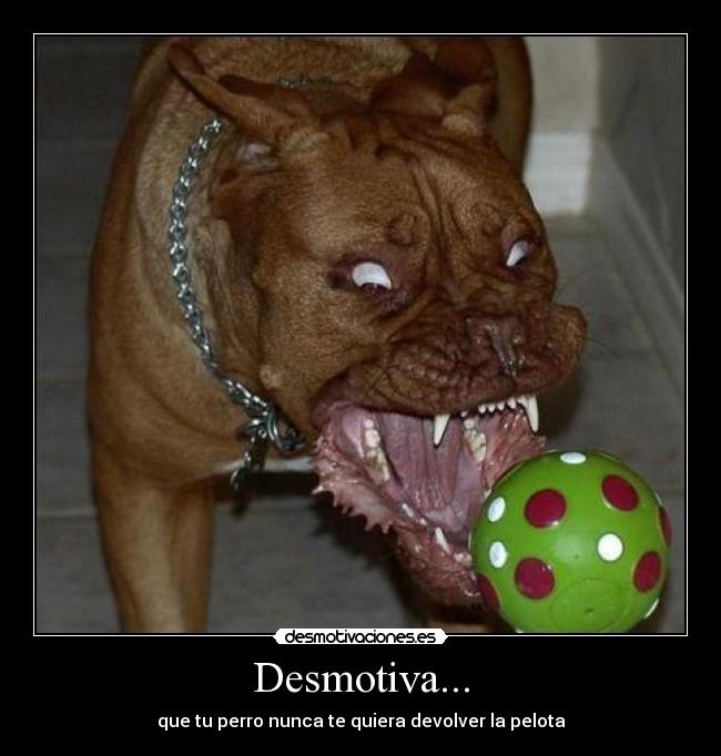 Desmotiva... - 
