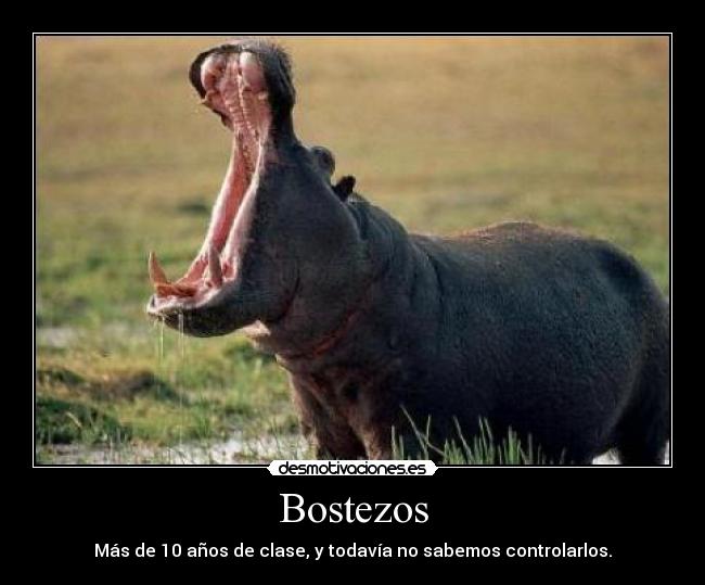 Bostezos - 