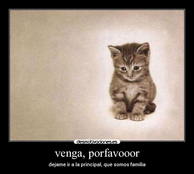 venga, porfavooor -