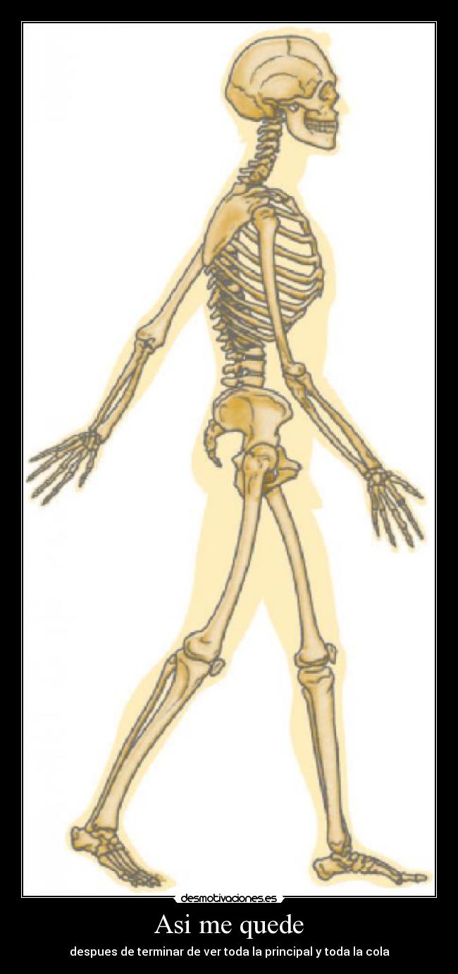 Asi me quede - despues de terminar de ver toda la principal y toda la cola