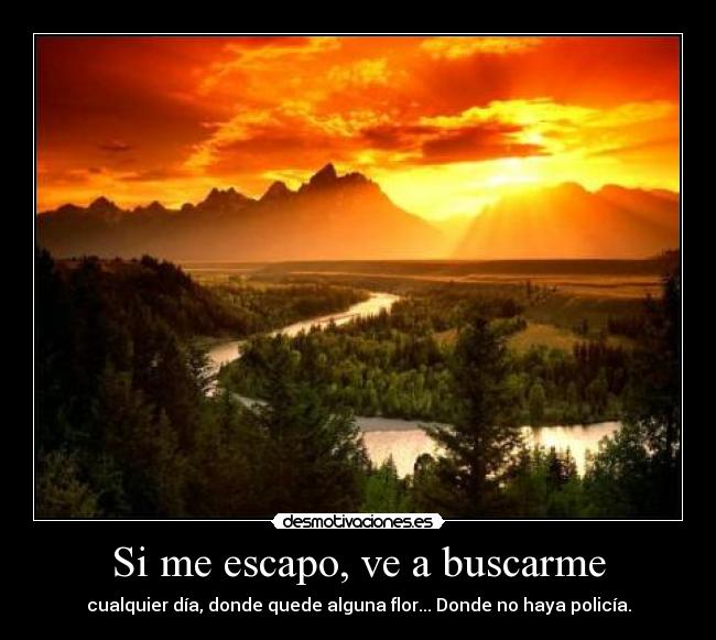 Si me escapo, ve a buscarme - cualquier día, donde quede alguna flor... Donde no haya policía.