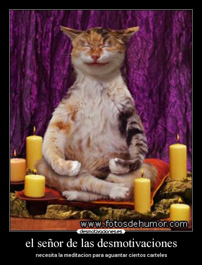 el señor de las desmotivaciones - necesita la meditacion para aguantar ciertos carteles