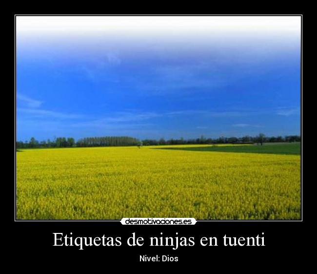Etiquetas de ninjas en tuenti - 