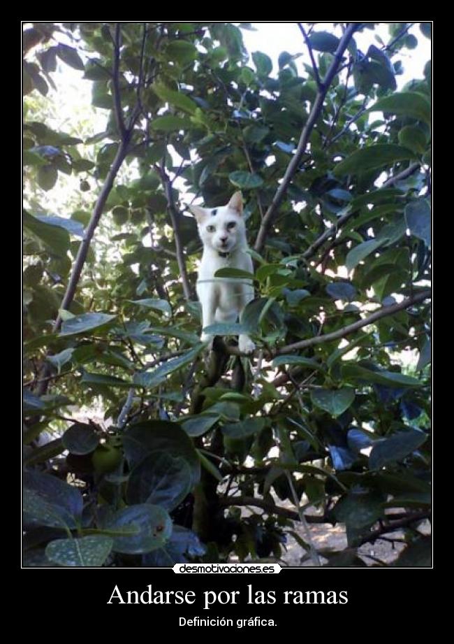 carteles andarse por las ramas danitriper desmotivaciones