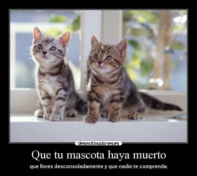 Que tu mascota haya muerto - 