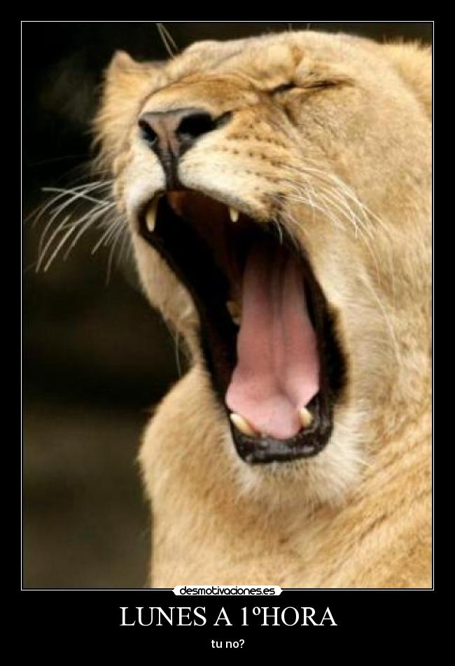 LUNES A 1ºHORA -
