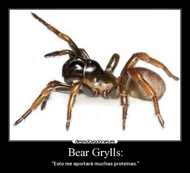 Bear Grylls: - 