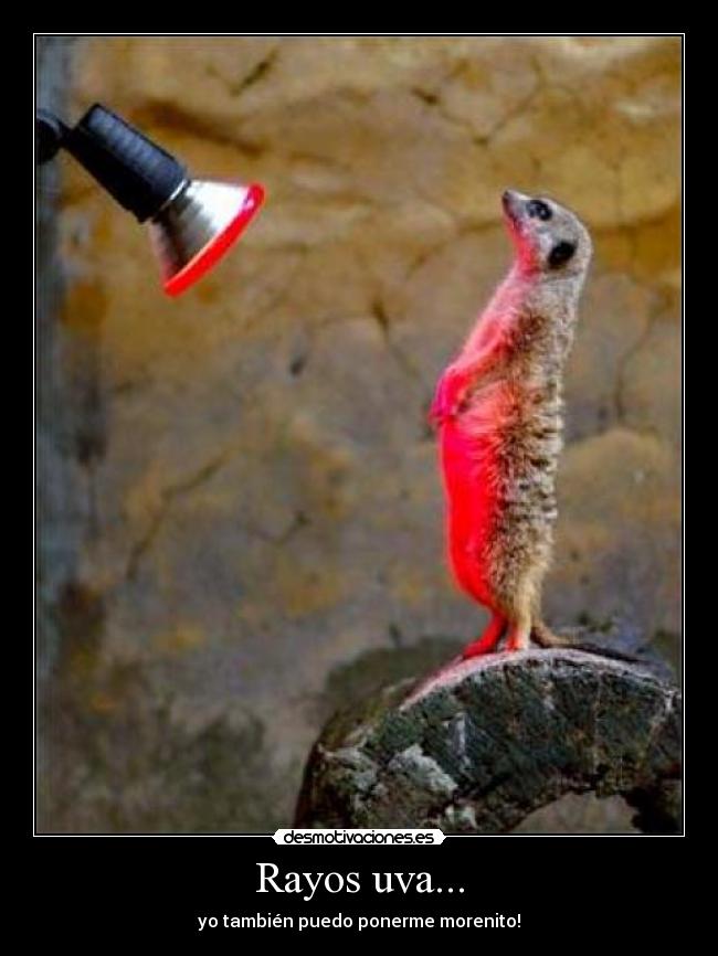 Rayos uva... - yo también puedo ponerme morenito!