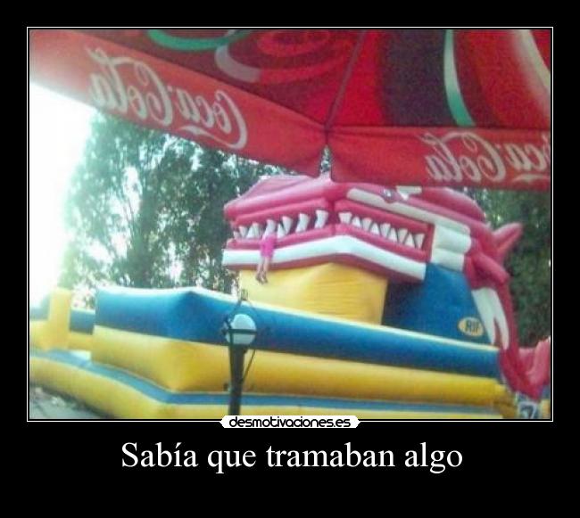 Sabía que tramaban algo - 