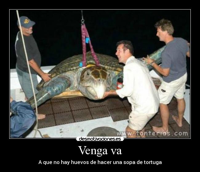 Venga va - A que no hay huevos de hacer una sopa de tortuga