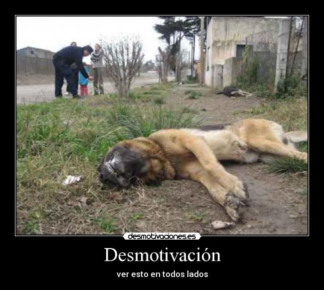 Desmotivación - ver esto en todos lados