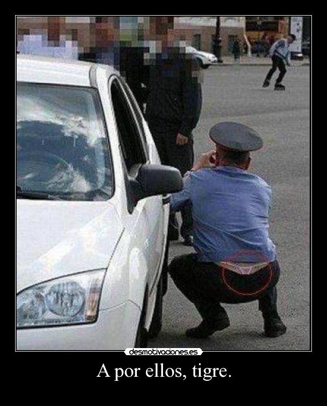 A por ellos, tigre. -