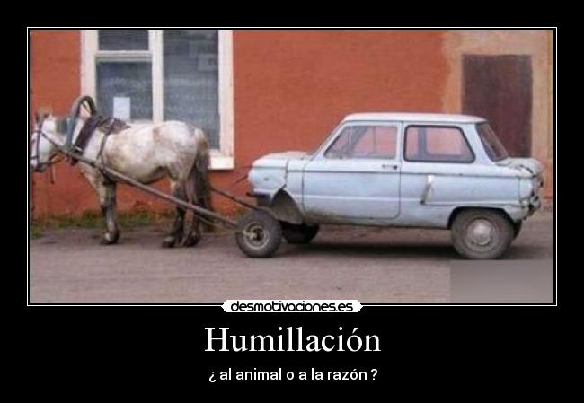 carteles caballo coche tonto ruedas desmotivaciones